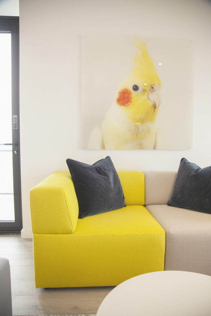 Stay in Hamilton · The Laundry Rooms